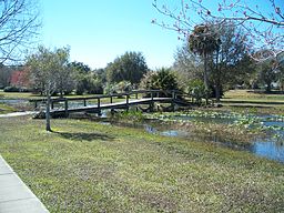 leesburg_fl_venetian_gardens_bridge05