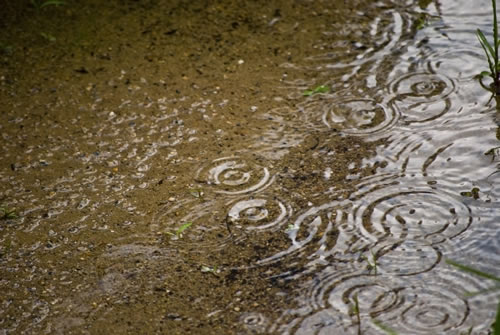 puddle-on-paved-road