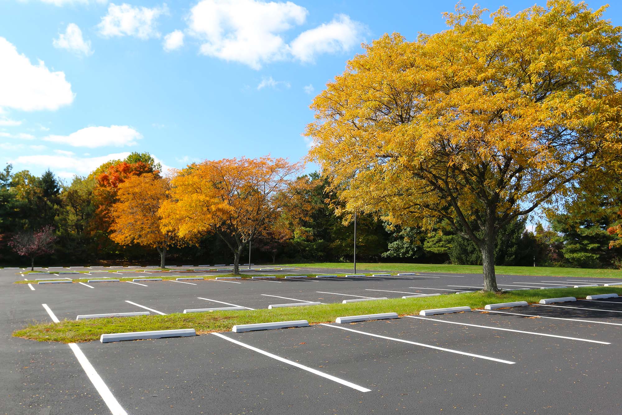 fall parking lot